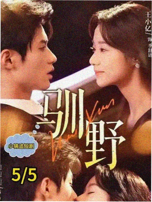 沉默的证词 新御书屋刑侦破案小说封面